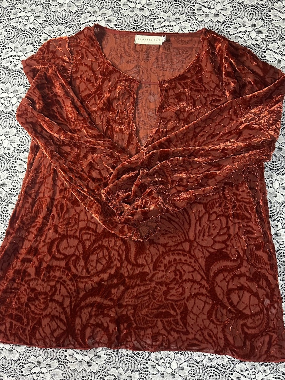 Johnny Was Love And Liberty Rust Velvet Burnout Paisley Sheer Silk Top-Sz Small
